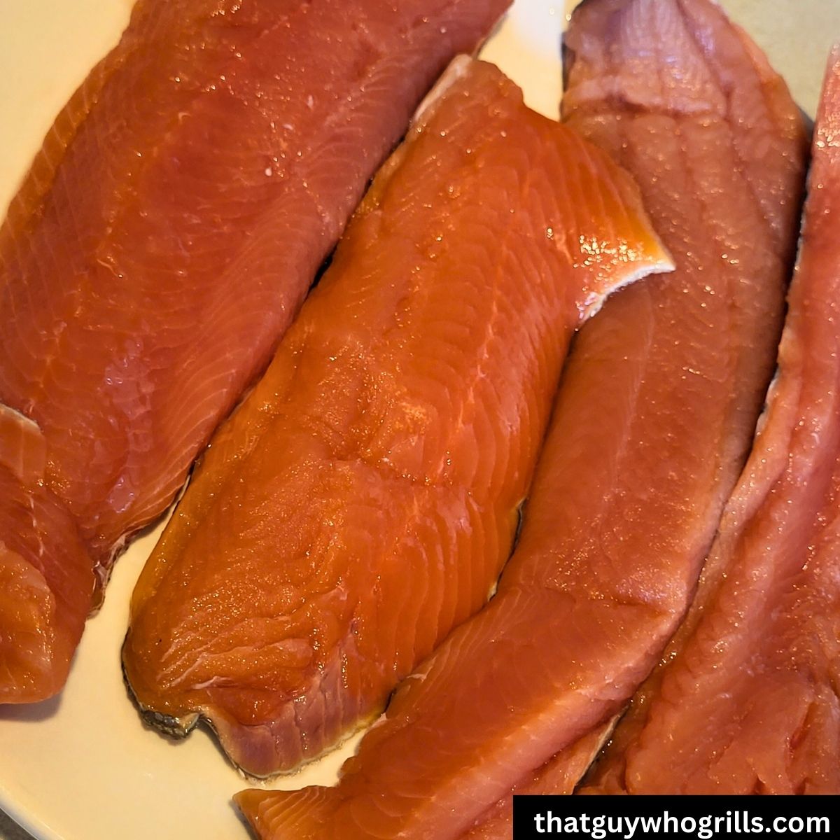 Salmon fillets raw on a plate