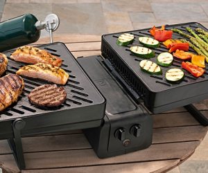 Best Small Portable Barbecue Grills