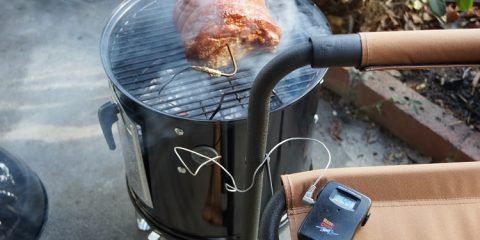 best smokers for beginners